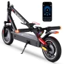 Electric Scooter for Adults — Electric Scooter, ECOROAD