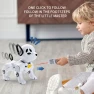 Remote Control Robot Dog — Robot Pet, EDC Toy