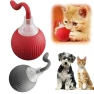 Automatic Rolling Ball Interactive Pet Toy — Automatic Cat Toy, Meiteai-All