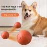 Interactive Smart Ball for Pets — Automatic Cat Toy, yuezong
