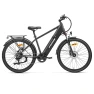 Step-over Electric Bike, Foride
