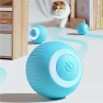 Electric Ball Pet Toy — Automatic Cat Toy, boy