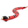 Automatic Cat Toys, Electronic Snake — Automatic Cat Toy, BC Pet Supplies