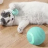 Electric Exercise Chase Ball — Automatic Cat Toy, Sock