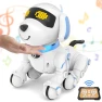 Robot Dog for Kids — Robot Pet, Dwi Dowellin