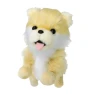 Pomeranian Robot Dog with Talking Feature and Soft Toy, Zen Picks - Japan Product select -