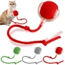 Interactive Pet Toy Ball, Jiangnan A