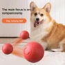 Interactive Pet Toy Ball — Automatic Cat Toy, yangyizhi