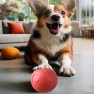 Interactive Smart Ball for Pets, Pet park