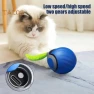 Interactive Cat Toy Ball, Vogue Wardrobe
