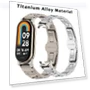 Luxury Titanium Alloy Strap — Wearable Accessories, 3C Accessories Family