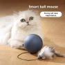 Automatic Cat Toy with Rolling Ball — Automatic Cat Toy, I love My Pet
