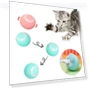 Automatic Rolling Cat Toy — Cat Playthings, Pawstrip