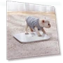 Smart Scale 2 — Weight Management Tools, Mijia