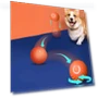 Automatic Moving Jumping Ball for Pets — Interactive Animal Companions, Yiran Furniture