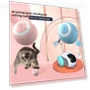 Interactive Cat Ball — Balls, xly1818