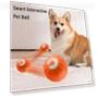 Interactive Dog Toy Ball — Balls, haoligei