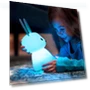 LED Night Light — Lamps & Shades, Binchi Lighting Appliances