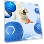 Smart Interactive Pet Toy Ball — Interactive Animal Companions, Yiran Furniture