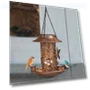 Solar-Powered Dual-Use Bird Feeder with Decorative Lawn Lighting — Backyard Birding, AI Supermarket