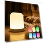 LED Night Light with Wireless Charging — Night Lights, Elegant Living House