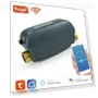 WiFi Water Valve with Flow Meter — Controllers, Super Featured