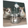 Automatic Water Fountain for Cats — Pet Hydration Solutions, Wrigleys