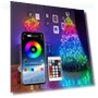 Smart Christmas Light with App Control — String Lights, Rainbow Rain