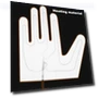 Touchscreen Heated Gloves — Gloves & Mittens, Lntelligent Living Hall