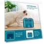 Transparent Cat Fountain — Fountains, Good Household Items