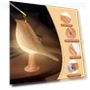 3-Color LED Bird Lamp with Touch Control — Night Lights, AE Selection