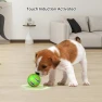 Interactive Dog Ball Toy, Love Pet House