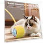 Interactive Rolling Ball Toy for Cats — Cat Playthings, Pet park