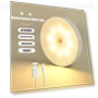 Motion Sensor LED Light — Night Lights, Molly Show