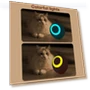 Smart Cat Toy Ball — Cat Playthings, Autumn Orchids