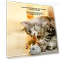 Smart Mouse Simulation Cat Toy — Cat Playthings, Auto Home Solutions
