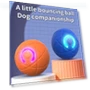 Smart Toy Ball for Dogs — Balls, Homedepot