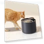 Automatic Drinking Fountain for Pets — Fountains, Build My Home