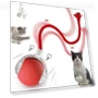 Interactive Cat Toy — Cat Playthings, Build My Home