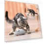 Interactive Smart Mouse Toy for Cats — Cat Playthings, Build My Home