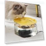 Pet Water Fountain with Automatic Filter — Fountains, Build My Home