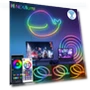 Smart LED Neon Light RGBIC Dreamcolor — LED Strips, Lntelligent Living Hall