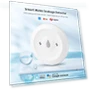 Water Leakage Sensor — Water Leak Detection Systems, Tuya