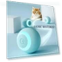 Interactive Pet Ball — Interactive Animal Companions, Super Dream Home