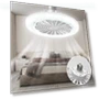 Smart Ceiling Fan 3 in 1 — Ceiling Fans & Accessories, Seahorse Home
