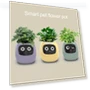 Smart Flower Pot with AI Expressions — Vegetables, Practical Household
