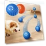 Smart Pet Toy Ball — Interactive Animal Companions, Clock-Mall