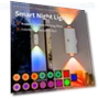 Smart LED Light with Dual Heads — LED, E-homekit