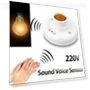 Voice Controlled LED Lamp Socket Switch — Smart Home Modules, Linfan