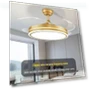 LED Ceiling Fan — Ceiling Fans, Best Electronics